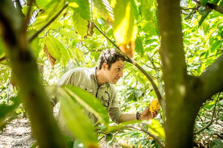 Vincent Mourou – Marou Chocolate